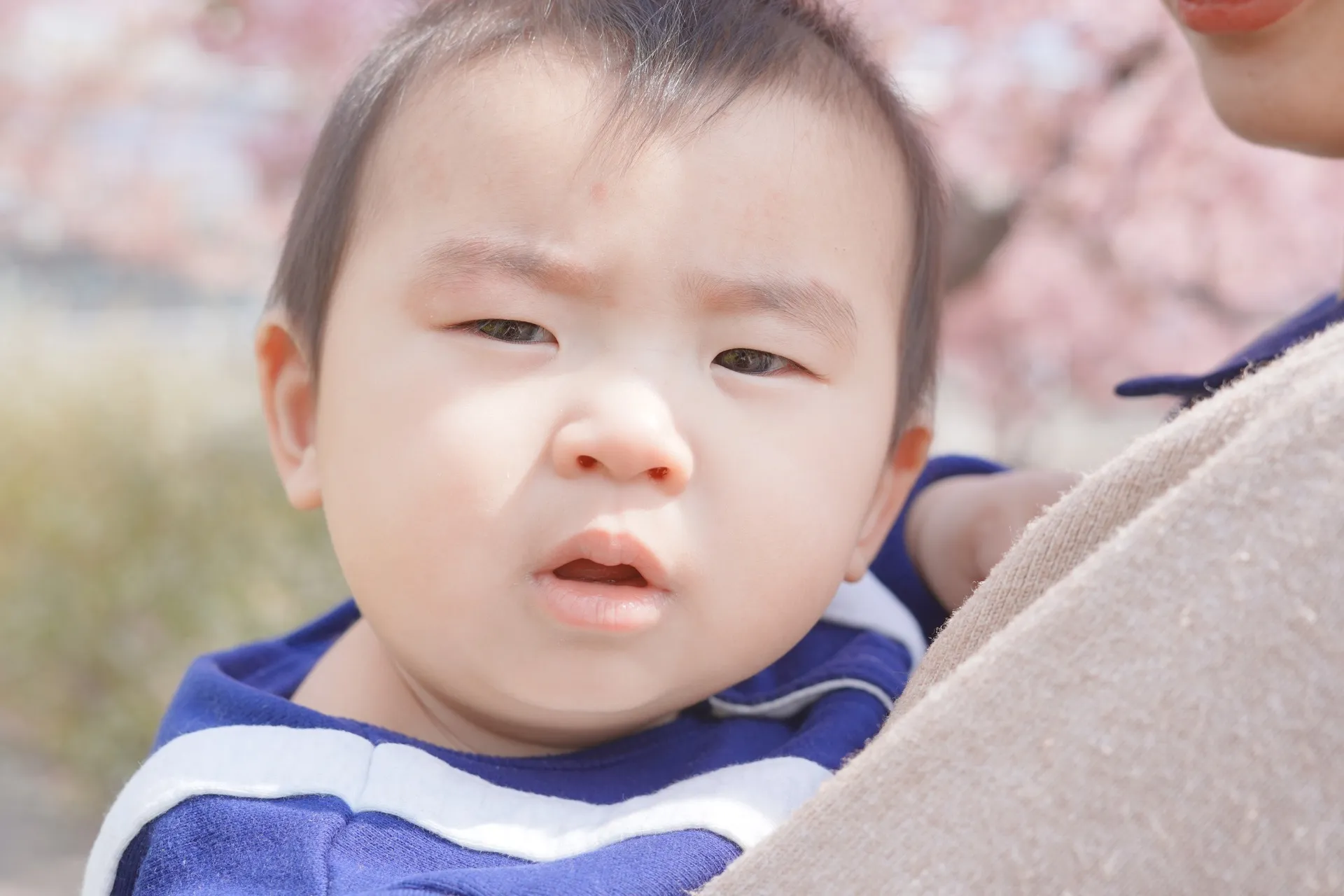 2024フォトピクニック